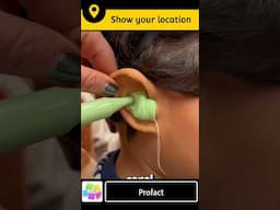 कानो में ये liquid क्यों डालते हैं? #liquid #shorts #shortvideo #hearingaid