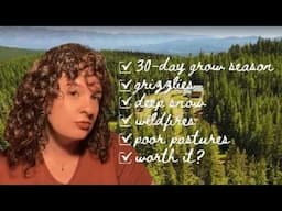 Reality Check: Homesteading in the Mountains | What You Didn't Expect