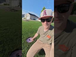 Green is better than purple