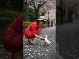 Miss Nana Meets a Duck in Nagoya 🦆🌸👒🇯🇵 ナナさんが名古屋でアヒルに出会う