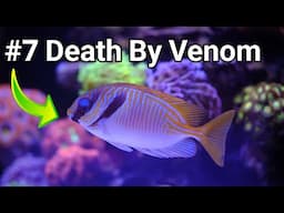 8 Ways Your Saltwater Aquarium Can Kill You! The Prestige Reef Dork Show Ep 88