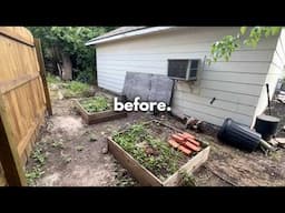 giving our SAD backyard a massive DIY makeover on a budget! | DIY Backyard Makeover