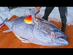 Sharpest Tuna Knife Making,Giant Bluefin Tuna Cutting Master/最銳利鮪魚刀！巨大黑鮪魚切割技巧, 黑鮪魚大腹, 烤黑鮪魚雞腿/彭家水產