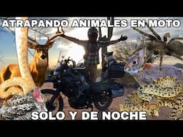 Safari En Moto Bajo Las Estrellas Del Desierto