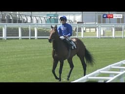 1,000,000gns colt WISE APPROACH stars on debut at Ascot!