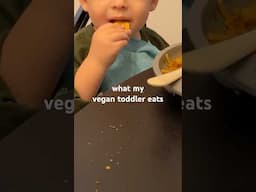What My Vegan Toddler Eats 🌱 | hot for food #Shorts