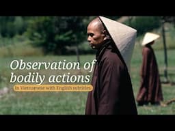 Observation of Bodily Actions | Teaching by Thich Nhat Hanh (EN subtitles)
