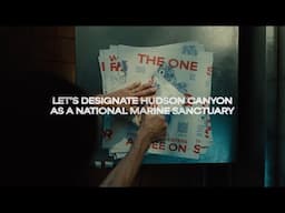 The Petition Paper: Save It For Dinner