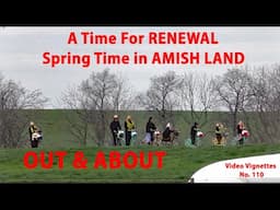 OUT & ABOUT in Lancaster County's AMISH LAND...Piglets, lambs, and calves oh my!