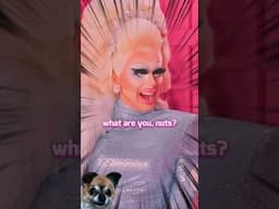 "WHAT ARE YOU, NUTS?" COMPILATION #trixiemattel #katyazamolodchikova #podcast #netflix #shorts