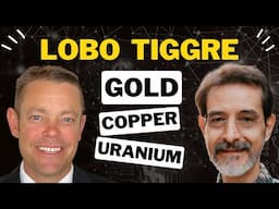 Lobo Tiggre’s Top Pick: Gold, Silver, Copper, or Uranium?