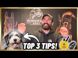 TOP 3 TRAINING TIPS You Didn’t Know Your Dog NEEDED!