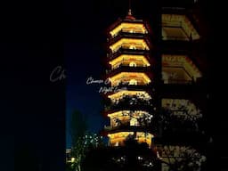 Chinese Garden Night Lights