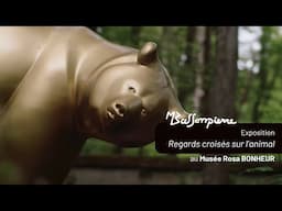 Installation de l'exposition "Michel BASSOMPIERRE chez Rosa BONHEUR : Regards croisés sur l'animal"