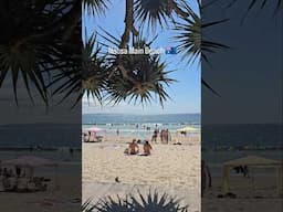Noosa Main Beach, Australia 🏊‍♀️🏖🤩#noosa #noosaheads #qld #australia #queensland #noosabeach #beach
