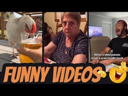 Funny Home Videos - If you laugh, you have to watch all over again.