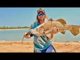 COMPILATION CATCH N COOK..CHILLY CRAB, FISH N CHIPS AND MORE