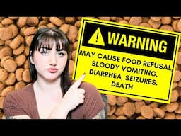 These Dog Foods Are Causing Mystery Illness, Here's What We Know | 2024