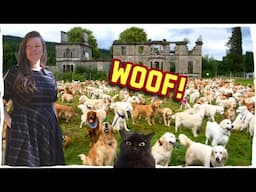4K 📸 We Found the Birthplace of the Golden Retriever – Hidden in the Scottish Highlands!