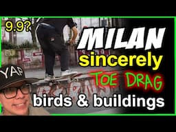 Sincerely Milan REVIEW (birds, buildings, b-roll)