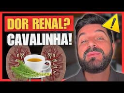 Acabe com a dor renal! Cavalinha: alívio de forma natural!