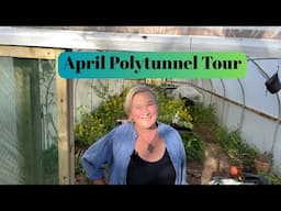 April Permaculture Polytunnel Tour