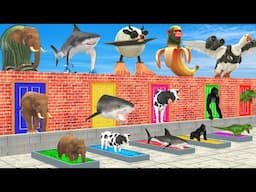 Elephant Cow Shark Gorilla Duck Pick the Right Head Italian Brainrot Animals Choose the Right Door