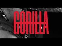 GORILLA W/ Mpho.wav