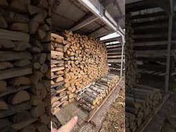 How much wood did we burn this winter?