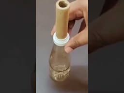 waste bottle reuse idea#youtubeshorts #shorts #useful tip#super idea#time saving idea