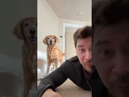 Nala woke up and chose chaos 🤣