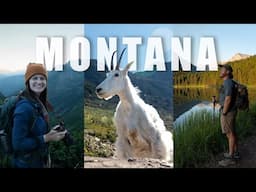 How to Plan the Ultimate Montana & Wyoming Road Trip! #montana #wyoming #nationalparks