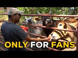 Miliye hamare adopted animals se!