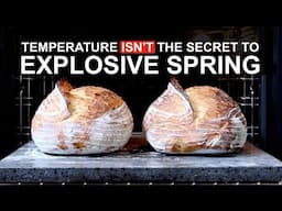 Why Oven Temperature Doesn’t Matter (As Much As You Think)
