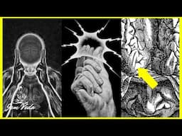 How to Convince Your Mind to Achieve All You Desire + Q&A