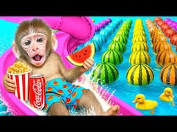 KIKI Monkey Swimming in the Watermelon Pool and plays with Ducklings | KUDO ANIMAL KIKI