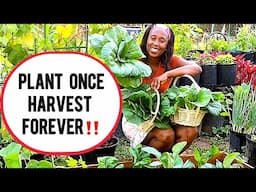 How To GROW Vegetables FOREVER At Home With JUST ONE PLANTING!