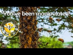 Zero to Thousands in Minutes, Honey Bee Swarm FAKERY dishonest manipulation, pheromones!