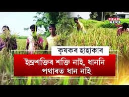ইন্দ্ৰশক্তিৰ শক্তি নাই, ধাননি পথাৰত ধান নাই