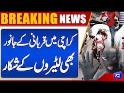 Karachi Looters Strike Again — Qurbani Animals Stolen | Viral Video | Dunya News