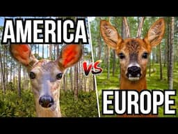 5 North American Animals Vs 5 European Animals - The Battle For Dominance Of An Ecosystem