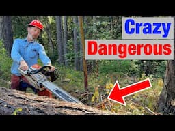 4 Dangerous Mistakes People Make In The Forest