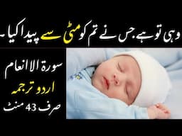 QURAN 6 SURAH AL ANAAM JUST ONLY URDU TRANSLATION FATEH MUHAMMAD JALANDRI FULL HD