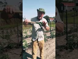 A tool every gardener should own! #growhoss #gardening #shorts #growyourownfood