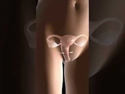 Yeast infections only affect women. Truth or Trash Episode 219 #biology #science #stem