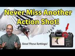 Game-Changer! The Secret Weapon for Wildlife & Bird Photography
