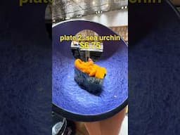 How much I Spent at Luxury Conveyor Belt Sushi in Japan