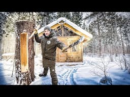 Building an Off-Grid Cabin and Keeping Wild Bees