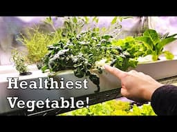 Growing the Healthiest Vegetable in the World