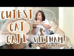 A Day in Vietnam’s Cutest Cat Café – You Won’t Believe This Place!